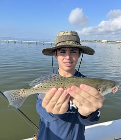 Speckled trout catch from Corpus Christi TX fishing trip