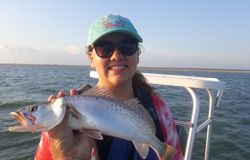 A photo of a spotted weakfish caught in Texas while fishing.