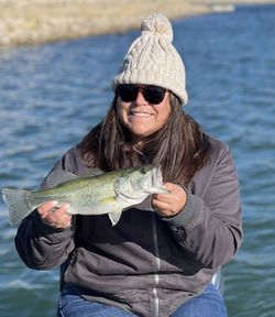 Colorado River Fishing Bass Catch ! Book Now!