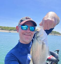 Best Fishing Central Texas Striped Bass Trophy!