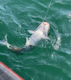 Explore Central Texas Waters