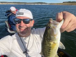 Fish-Species