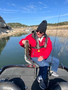 Lone angler fishing in Austin