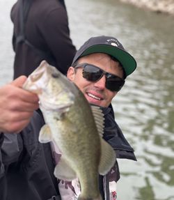 Largemouth bass caught while fishing in Austin