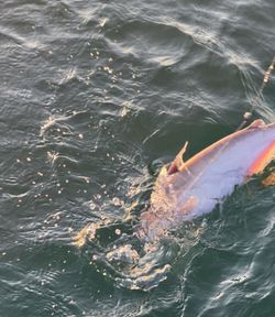 Fishing in TX