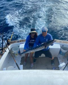 Unforgettable Wahoo fishing, Florida waters