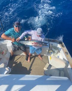 Explore Florida's vibrant fishing scene, Wahoo