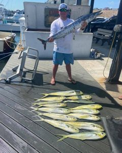 Discover top fish charters Key West, Mahi Mahi 