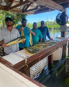Prime fishing charters in Florida, Mahi Mahi