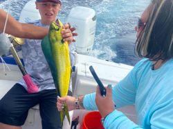 Captivating Florida fish experiences, Mahi Mahi