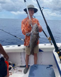 Thriving Florida fishing adventures, Grouper