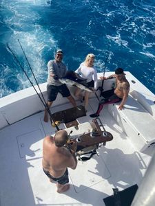 Exciting Key West fish adventures, Sailfish