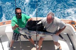 Angler with Atlantic Sailfish in Key West