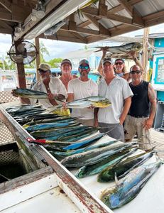 4 big fish caught in FL by group of 6 anglers