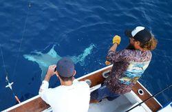 Angler fishing in Florida