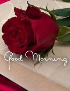 Scenic view of Florida City, showing various outdoor activities like cruises, fishing, and water sports.