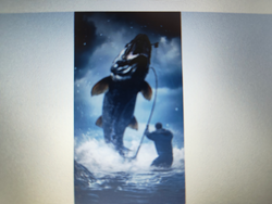 Hooked up in the blue waters! Partly cloudy conditions made for great hunting today.