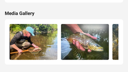 Angler releasing fish back into water during Florida City fishing trip