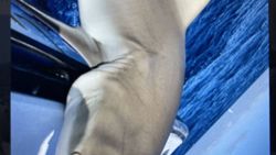 Close-up view of hands on boat deck during fishing charter in Florida City FL