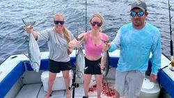 Successful fishing trip showing caught Little Tunny from Florida City FL waters