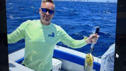 Mahi mahi catch on fishing boat in Florida City waters
