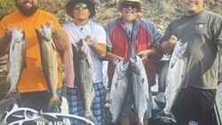 Successful salmon fishing trip in Florida City FL showing multiple Chinook and Coho salmon catch