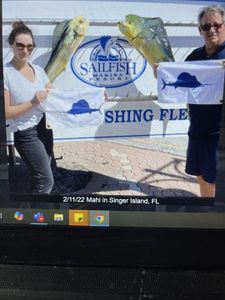 Fresh caught mahi mahi displayed at Sailfish Marina in Florida City FL