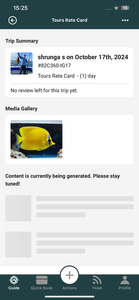 Bright yellow tropical fish swimming underwater in Florida City FL waters