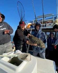 Anglers enjoying a day of fishing in CA