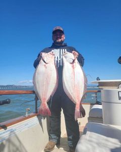 Two California Flounder fish caught in Richmond