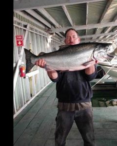 Chinook Salmon caught while fishing in CA