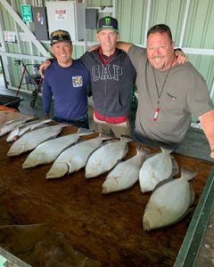 A group of 4 people fishing in California