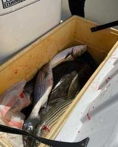A scenic vista of the California coastline during a fishing trip