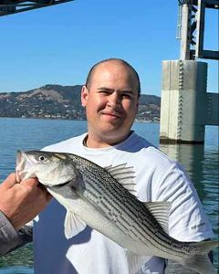 Striped bass caught in CA while fishing