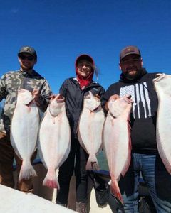 4 large fish caught during fishing trip in CA