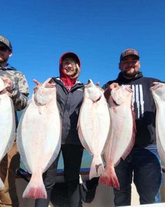 3 summer flounder fish caught in Richmond