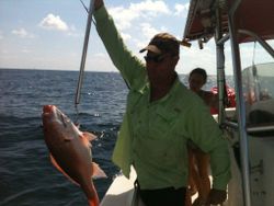 Ultimate Offshore Fishing Experience, Red Snapper 