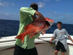 Red Snapper Catch: Delicious