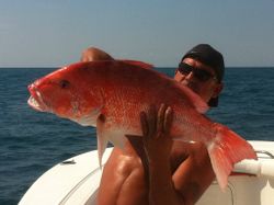 Tasty Red Snapper Dish in Texas