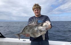 John Dory Fish in Port O'Connor