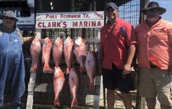9 fish caught in Port O'Connor during fishing, hunting, and tours