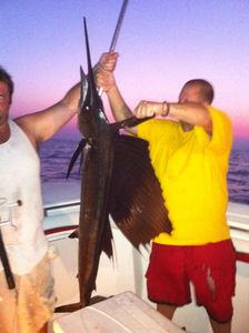 Stunning image of an Atlantic Sailfish in TX