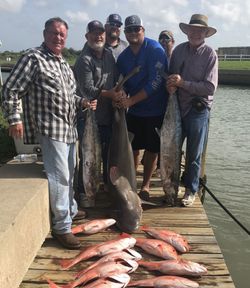 6 king mackerel caught on fishing trip in TX