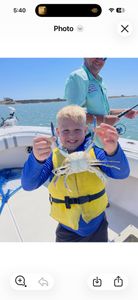 Blue crab caught during fishing trip in Port O'Connor TX