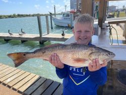 Large redfish caught fishing in Port O'Connor TX at marina dock