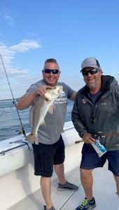 Best Fishing Buddy In Port O'Connor Fishing Guide