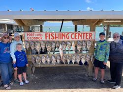 Impressive display of caught sheepshead fish hanging at Port O'Connor Fishing Center cleaning station