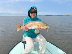 Atlantic Croaker fish caught while fishing in TX