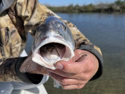A fishing trip in TX