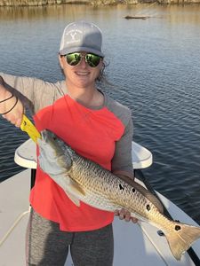 Redfish caught in TX